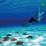 Cozumel Snorkeling