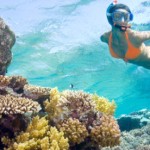 Playa Activities Snorkeling