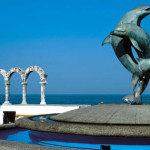 PV dolphins