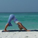 Downward Dog