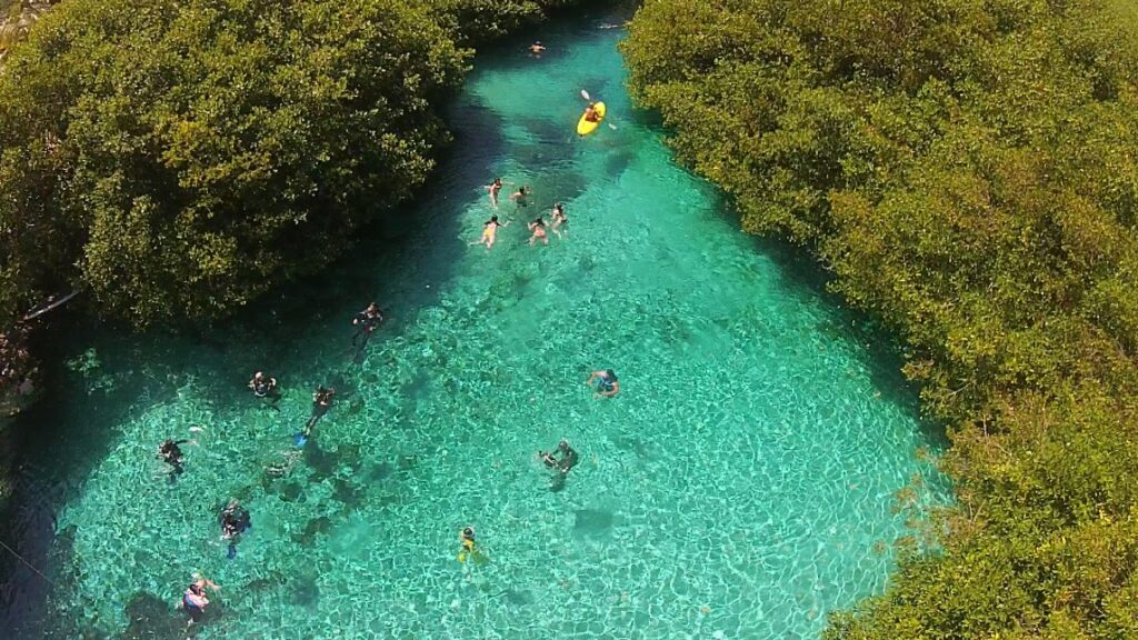 tulum life visiting cenotes nearby